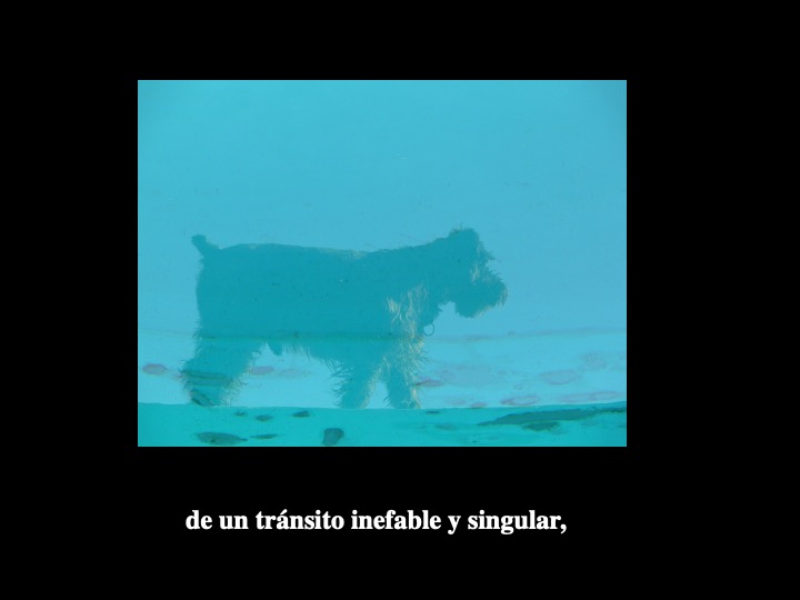 Diapositiva13-3.jpeg