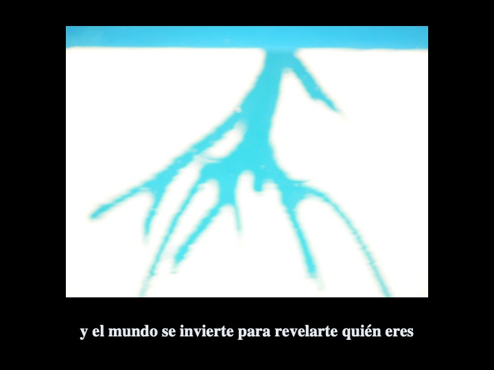 Diapositiva16-3.jpeg