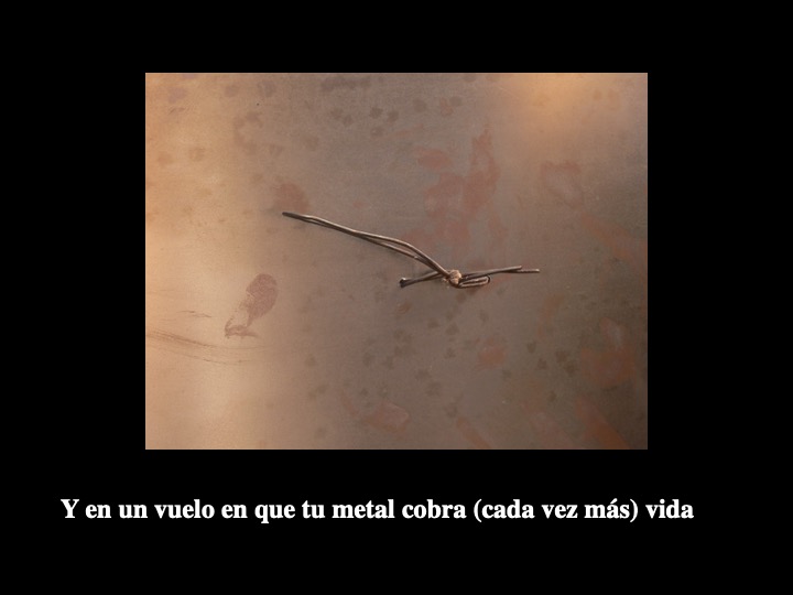 Diapositiva19-3.jpeg