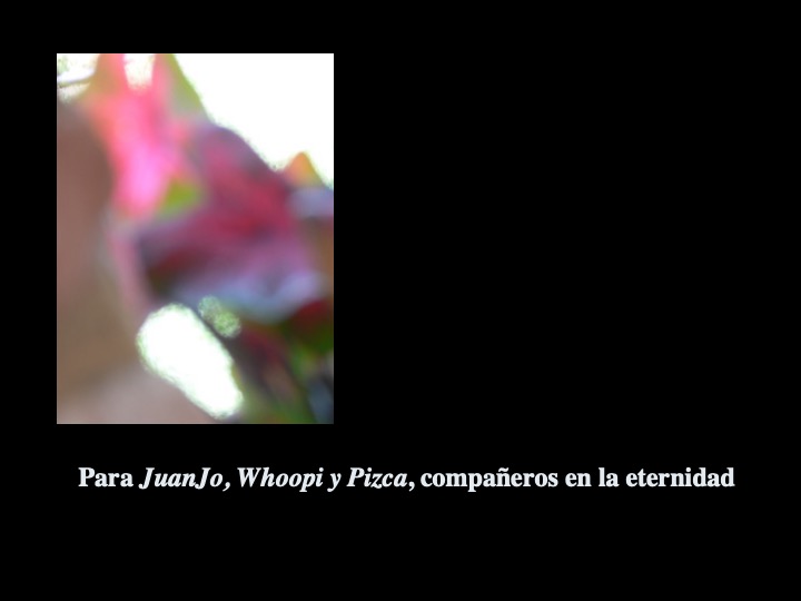 Diapositiva2-3.jpeg