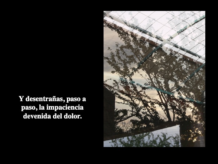Diapositiva22-1.jpeg
