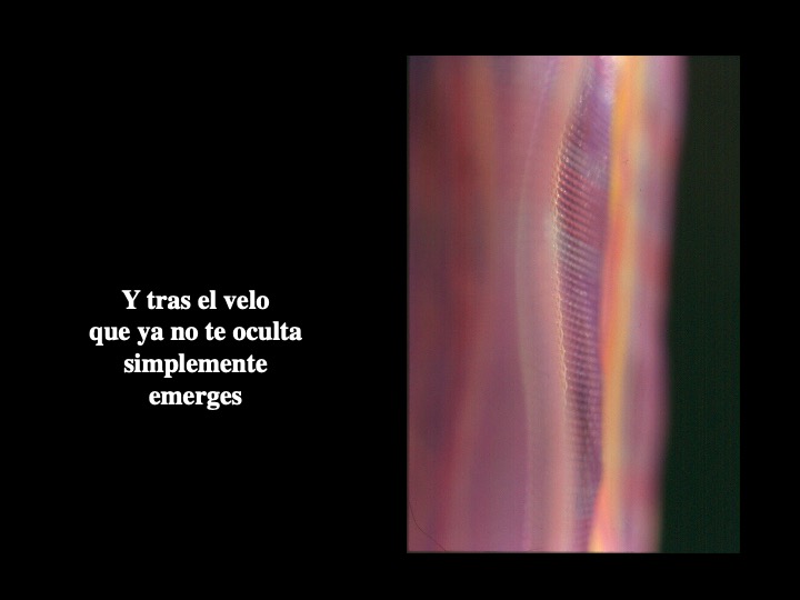 Diapositiva23-1.jpeg