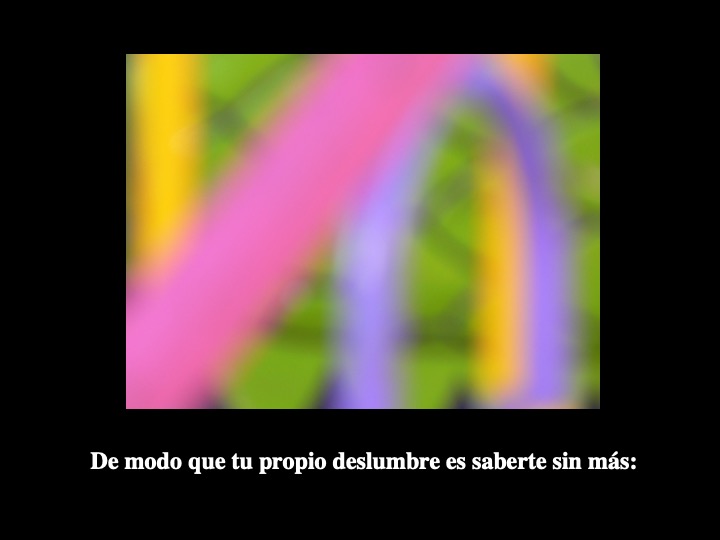 Diapositiva26-1.jpeg