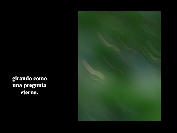 Diapositiva7-3.jpeg