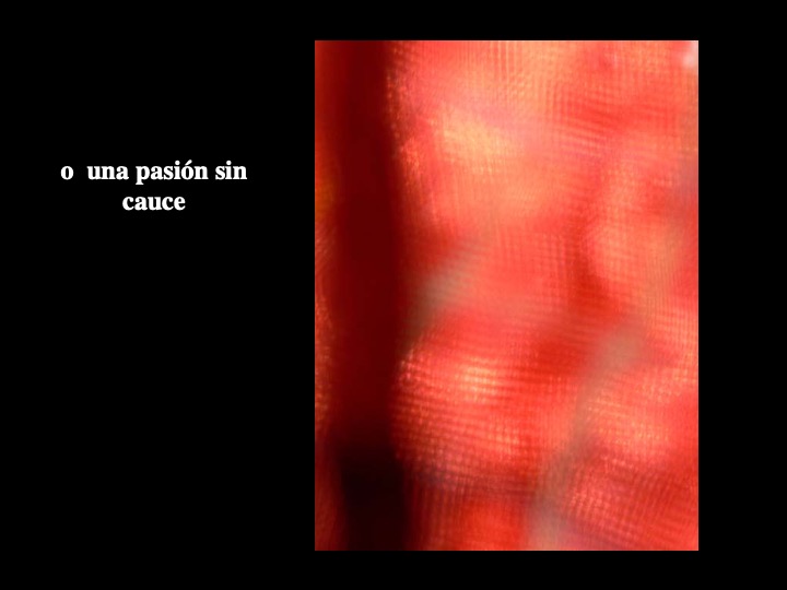 Diapositiva9-3.jpeg